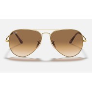 AVIATOR METAL IILenses: Light Brown Gradient  +  Frame: Gold