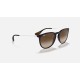 ERIKA CLASSIC
Lenses: Brown Gradient  +  Frame: Blue