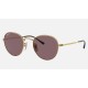 DAVID
Lenses: Polarized Violet Classic  +  Frame: Gold