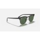 CLUBMASTER METAL
Lenses: Polarized Green Classic G-15  +  Frame: Black