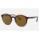 RB4336CH CHROMANCE
Lenses: Polarized Brown Classic  +  Frame: Striped Red Havana